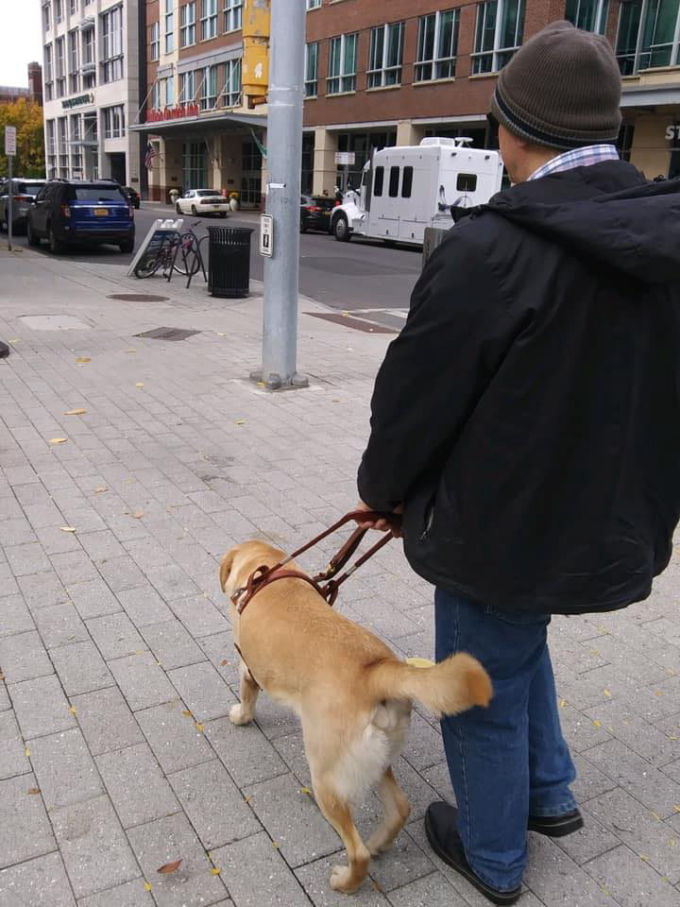 man walking with his guide dog